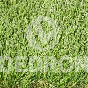 DEDRON: GRASS Συνθετικός Χλοοτάπητας